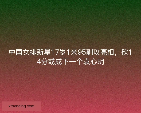 中国女排新星17岁1米95副攻亮相，砍14分或成下一个袁心玥