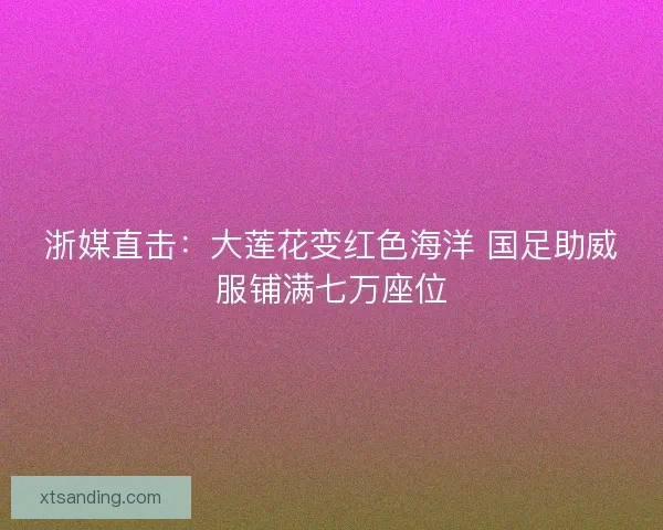 浙媒直击：大莲花变红色海洋 国足助威服铺满七万座位